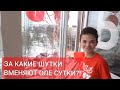 За какие шутки вменяют Оле сутки?!