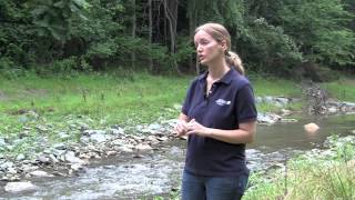 Meadow Creek Restoration, Charlottesville, Virginia