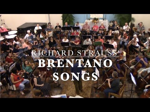 Arlington Philharmonic Orchestra: Music Gazing - Brentano Songs