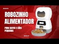 Alimentador Pet Automático Em Formato de Robozinho
