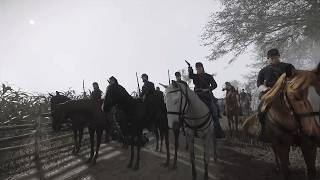 Horses Are HERE NOW | War of Rights | First Playtest