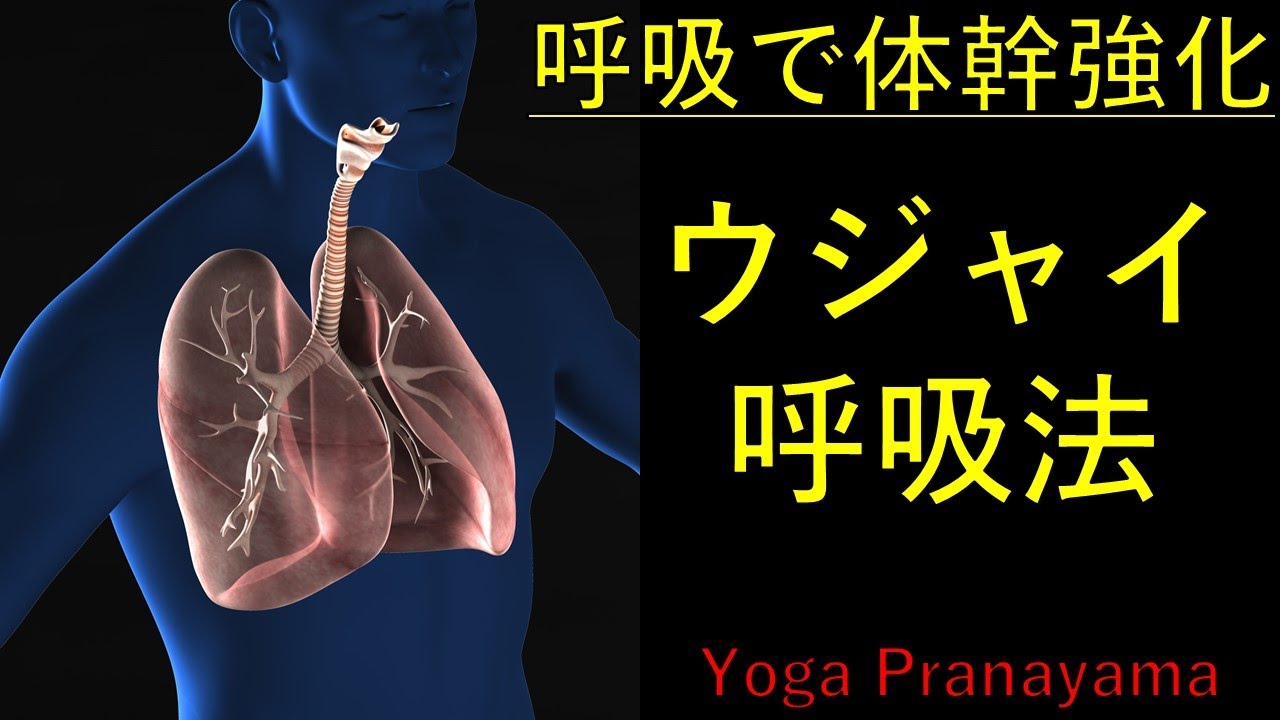 ヨガ呼吸 呼吸で体幹強化 ウジャイ呼吸法 Youtube