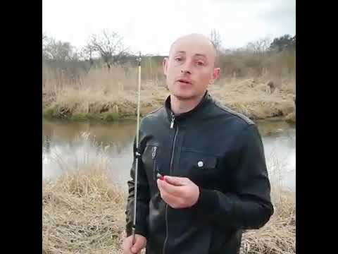 Река Защеканка #городузда #Рыбалка