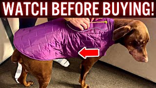 Best Dog Jacket Kurgo Loft Dog Jacket Reversible Dog Coat Review Demo