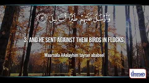 ১০৫।সূরা ফিল   Surat Al Fīl The Elephant   Mishary Rashid Alafasy   مشاري بن راشد العفاسي   سورة الف