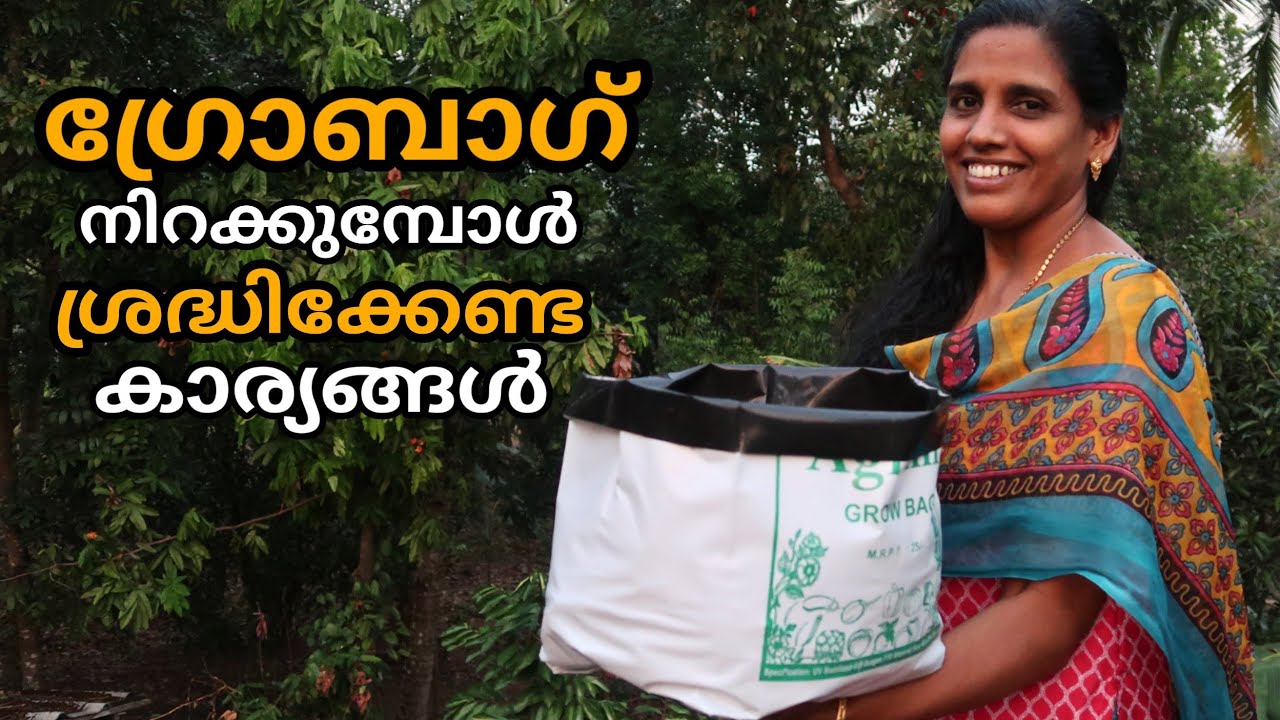 ഗ്രോബാഗ് നിറക്കുമ്പോൾ ശ്രദ്ധിക്കേണ്ട കാര്യങ്ങൾ How to fill grow bag