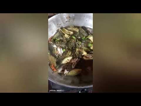 gambilori galda nakam