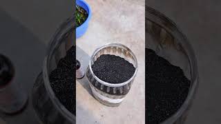 Seaweed Vs Humic Acid Difference #SeaweedExtract #Insecticide #ViralReels #gardendesign