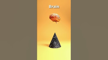 Brain vs 3D Spike 🧠 🤯 What will happen?