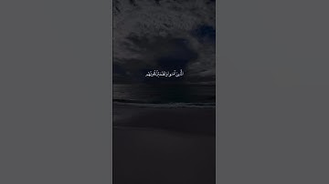 الَّذِينَ آمَنُوا وَتَطْمَئِنُّ قُلُوبُهُم بِذِكْرِ اللَّهِ ۗ|سورة الرعد|عبد الرحمن مسعد🎧🤍