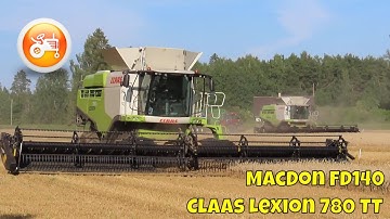 Harvest 2024 | Claas Lexion 780 TT with MacDon FD140 header