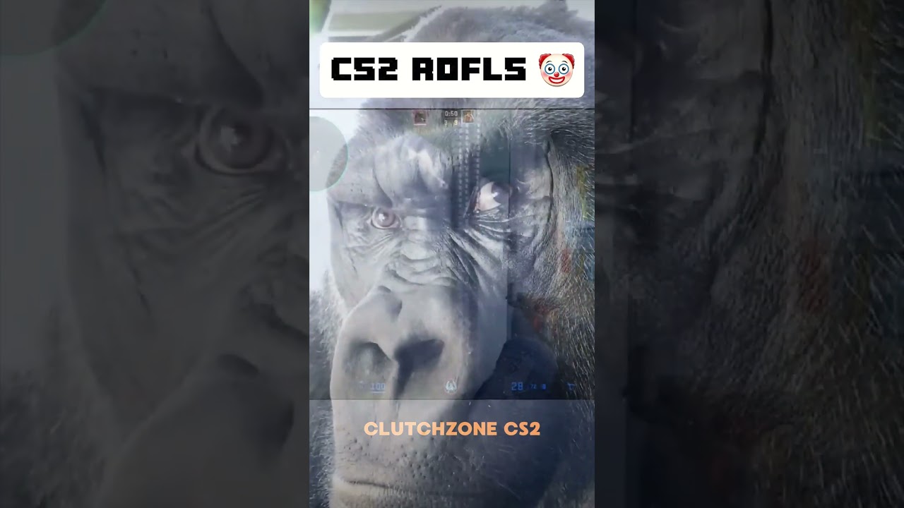 Когда случайно превращаешься в топ-угрозу для своей команды 💀