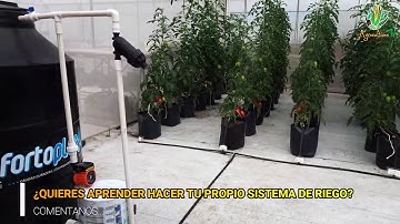 🌱SISTEMA DE RIEGO AUTOMATIZADO Y BARATO