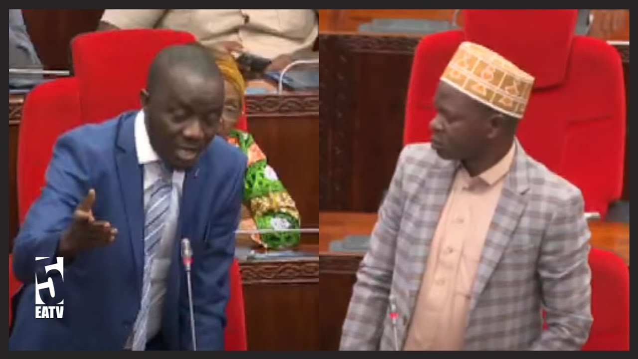 MBUNGE KATANI, MSUKUMA WACHARUKA “Wabunge WAPIMWE Kama Sio MASHOGA, Hili Linaugumu Gani”