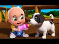 Baby Bingo Song New Compilation Baa Baa Black Sheep Nursery Rhymes And Kids Songs Baby Bobo 