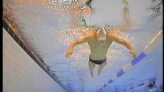 Bsca White Dolphin Technology - Breastroke Body Position