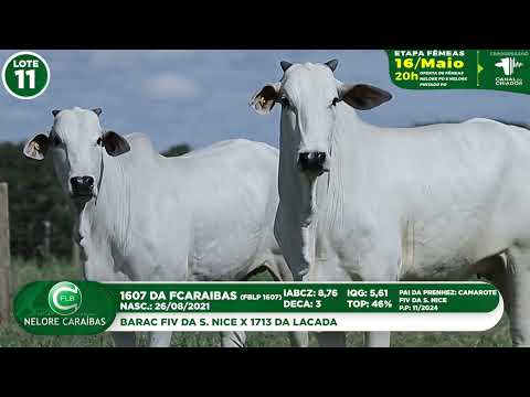 LOTE 11   FBLP 1607  1769