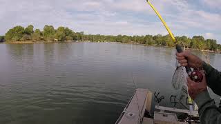 GOPR1343/Lake Norman/White Perch/Channel Catfish/10-7-19