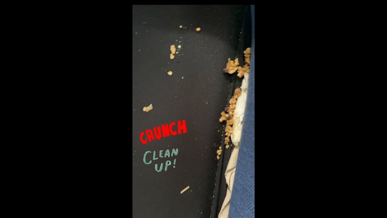 DEEP CLEANING A CRUNCHY CARPET AND COUCH IN DECATUR YouTube