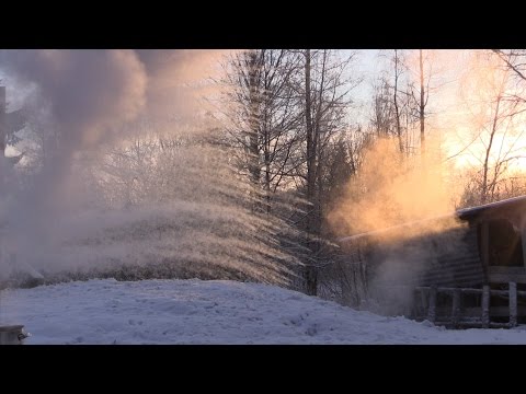 Video: Aviečių Uogienė - Kalorijų Kiekis, Naudingos Savybės, Maistinė Vertė, Vitaminai