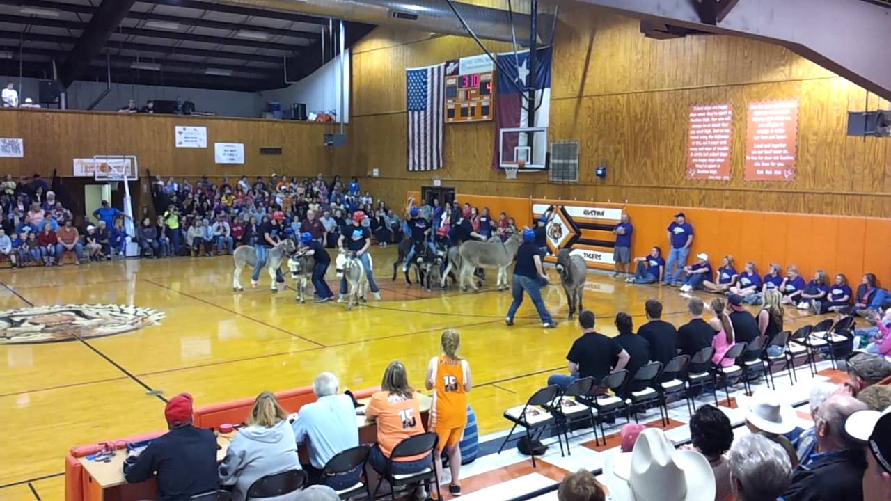 Donkey Basket Ball in Gustine Texas YouTube