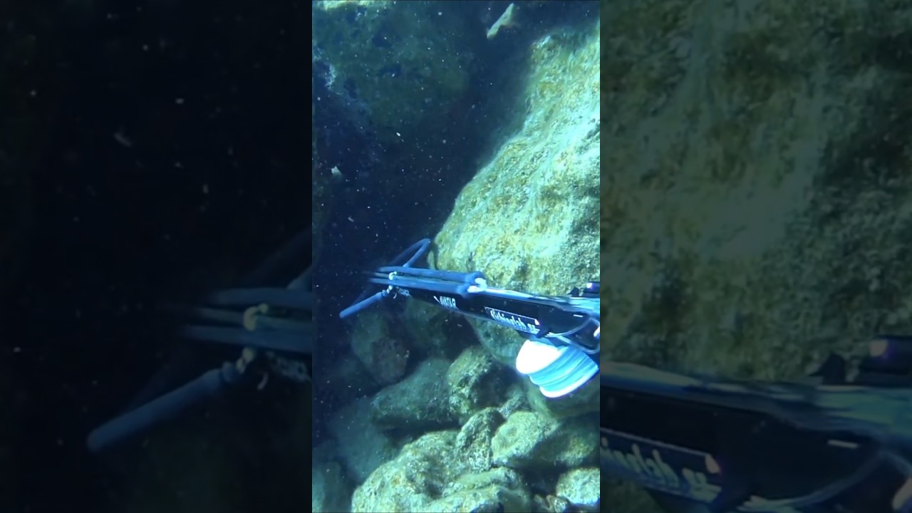 Ψάρεμα Αναμεσα Στα βράχια #fishing #spearfishing #fish