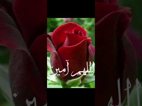   حمزة بوديب يا فرجنا اذا اغلقت الابواب دعاء