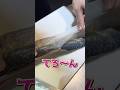 釣ったサバをシメサバにしてみた失敗?成功?
