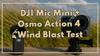 DJI Mic Mini + Osmo Action 4 | Wind Blast Test