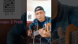Under The Bridge RHCP Chords Capo 2 #chords #tutorialgitar #acoustic