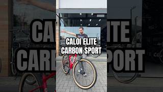 Caloi Elite Carbon Sport - Chama no Whats (47) 99130-2393 para negociar a sua!