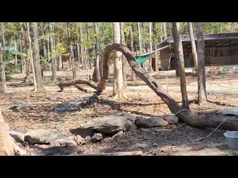 ผลสลากกินแบ่งรัฐบาล วันที่ 1 พย. 2567