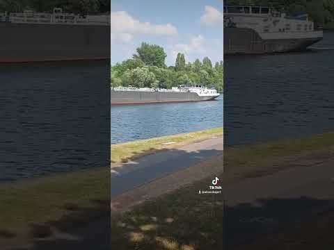 تحسب اني سالي مثلك