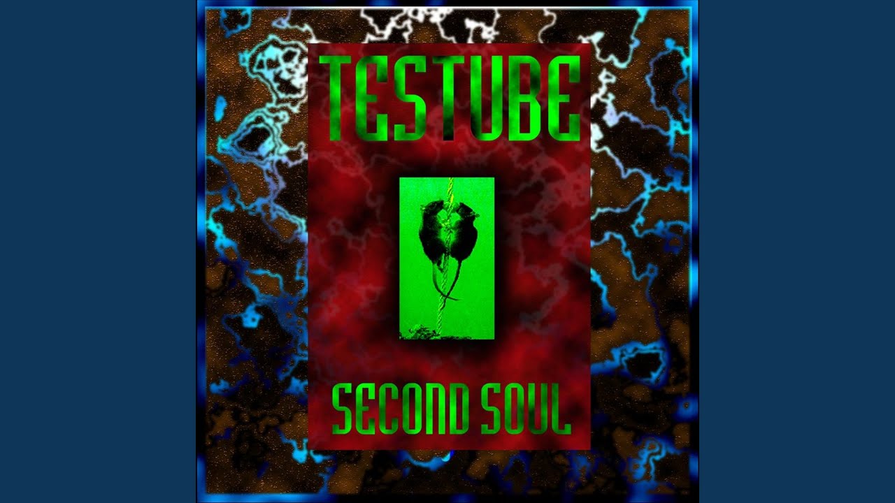 Guarda Tested su YouTube Guarda Tested su YouTube