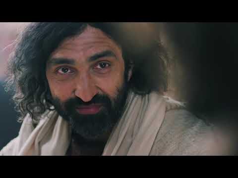 Arabic | Matthew 11:1–12:21