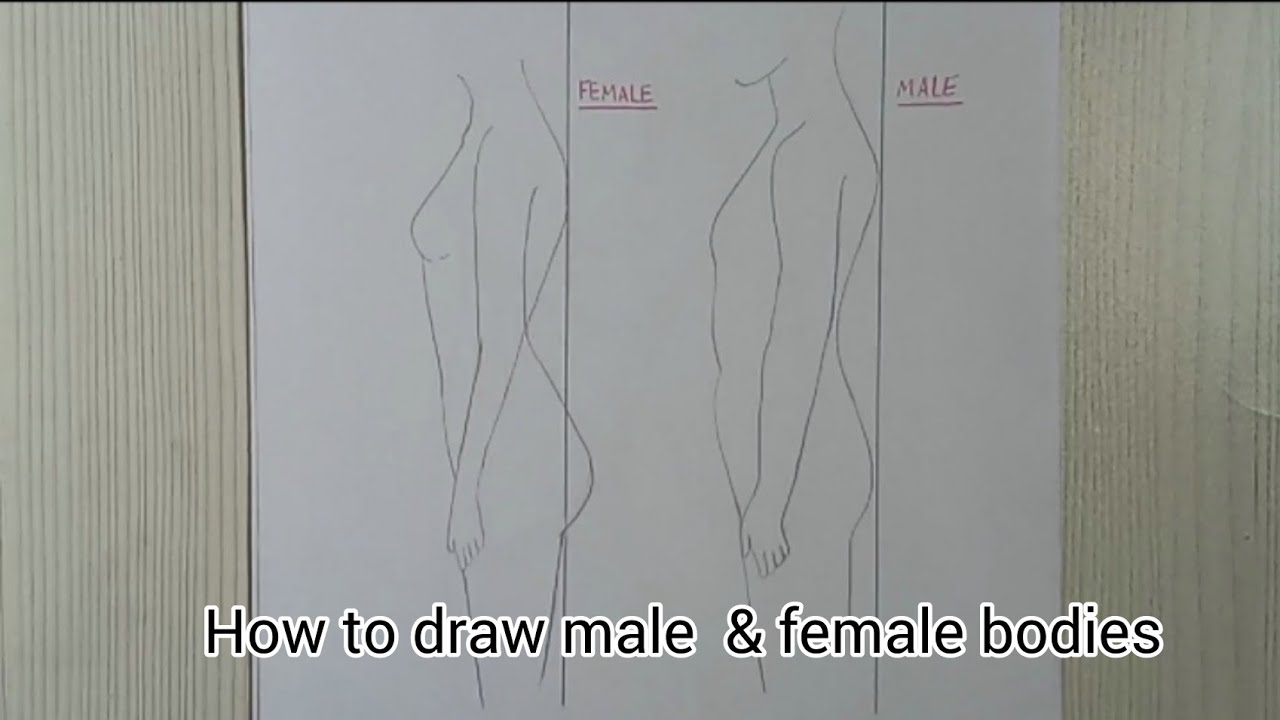 How to draw male and female bodies step by step for beginners - YouTube