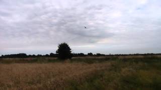 Bristol M1C Monoplane (Gipsy engined version)