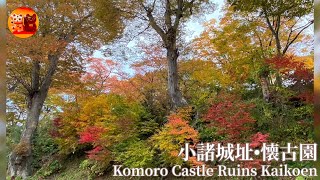 【小諸城址•懐古園】【ハロ現象】【長野県紅葉】castle ruins & Halo 【長野県】