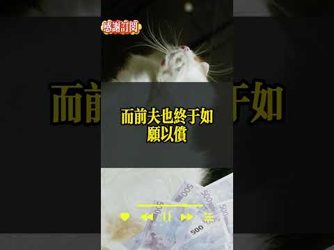 離婚後，我不哭不鬧獨自去了南方，前夫如願娶小三進門！半年後婆婆飯桌上無意說漏一句話，他才知道：自己親手丟掉的，竟是全家真正的靠山！#虛構故事 #家庭情感 #婚姻關係 #女性成長 #情感故事 #婆媳關係
