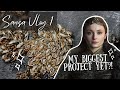 [SANSA VLOG 1] - Dissecting the Costume and Progress So Far