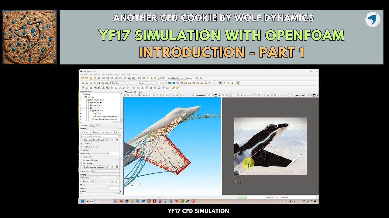 🍪 CFD cookie - YF17 CFD simulation - Introduction | Part 1 - YouTube