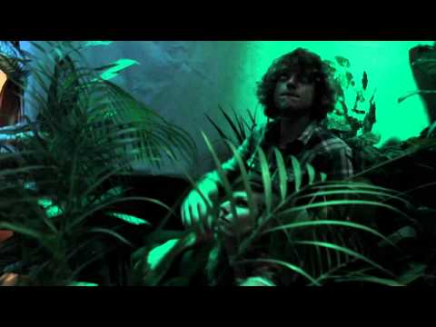 PeterLicht - Das Ende Der Beschwerde - Christiane ...