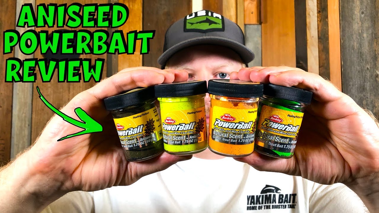 Aniseed Trout Powerbait Review & 5 Tips to Catch More Trout 