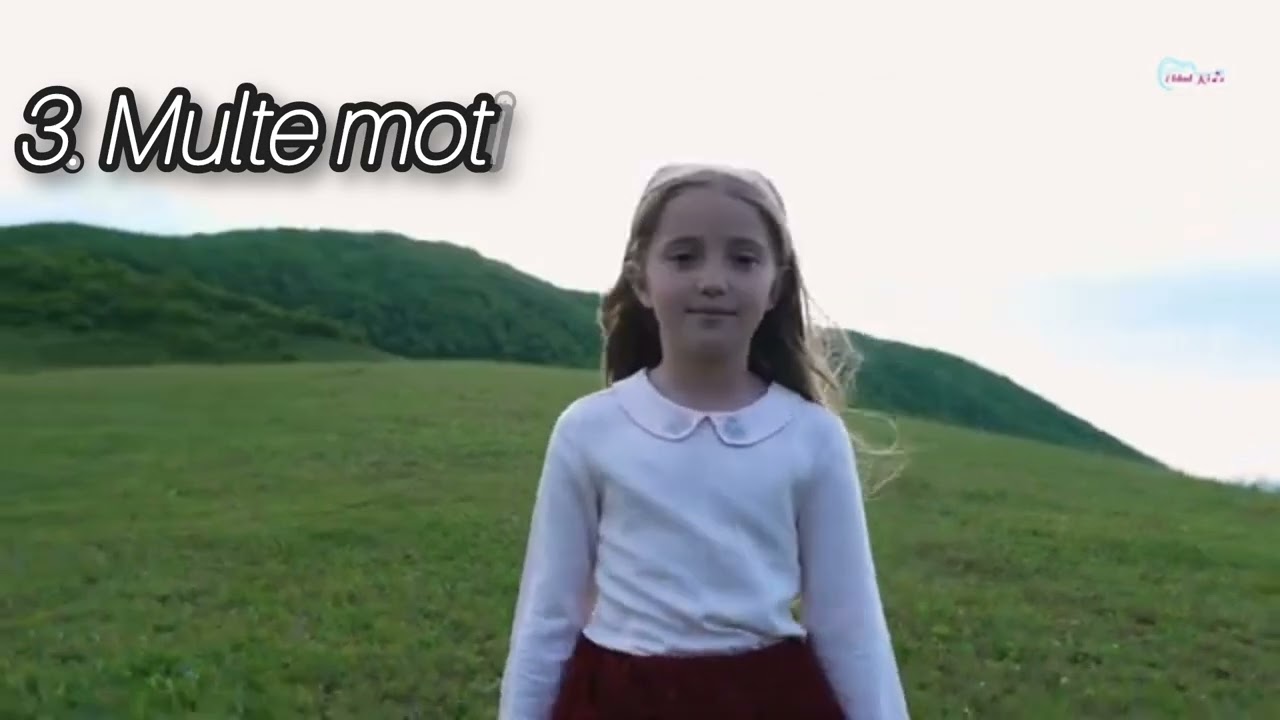 Multe motive -Negativ Eldad Kids