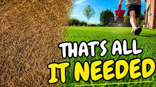 Stop Overcomplicating Your Lawn – Do These 2 Things