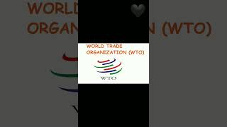 Demystifying the World Trade Organization: Everything You Need to Know! Net Worth