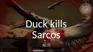 Duck fighting Sarcos on Official Servers - Path of Titans