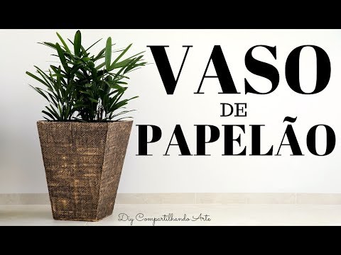 Por que temos Pedrinhas na Garganta?│BioSaúde #74 