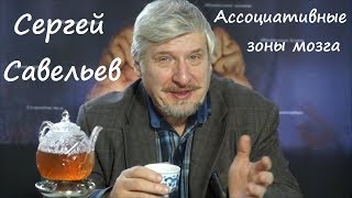 С.В. Савельев об ассоциативных зонах