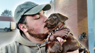 WE HEBBEN EEN PUPPY GEKOCHT… 🐶 #91